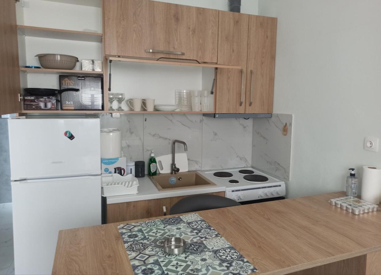 Axas Apartments Michaniona 外观 照片